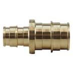 1/2 in. x 3/4 in. Brass PEX-A Reducing Barb Coupling