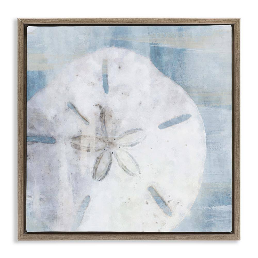 Pastel Blue Sand Dollar Seashell by Nina Blue Brown Floater Frame Graphic Art Print Coastal 25 in. x 25 in. price history on PriceWatchPro