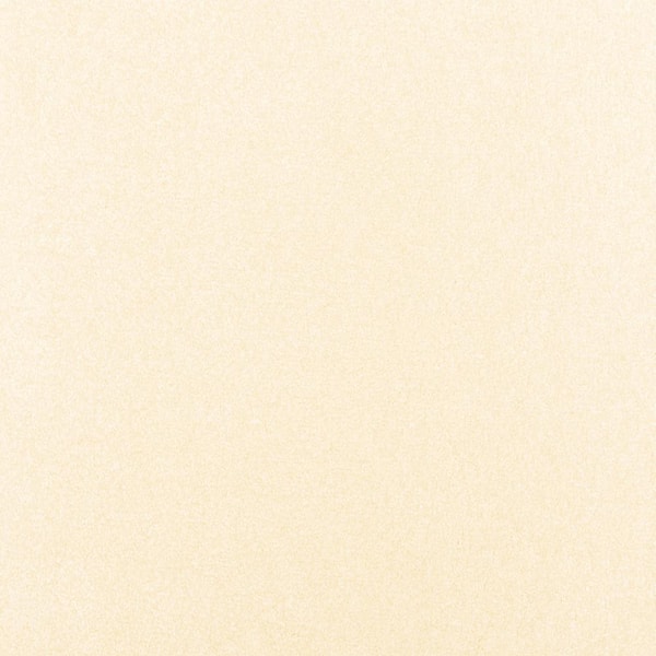 Lifeproof with Petproof Technology Waking Up II Daybreak Beige 56 oz. Triexta Textured Installed Carpet