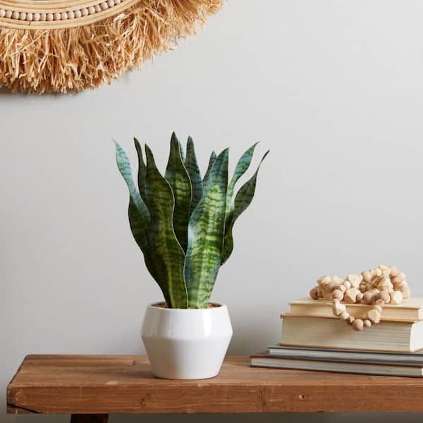 15 in. H Snake Artificial Plant with Realistic Leaves and White Porcelain Pot