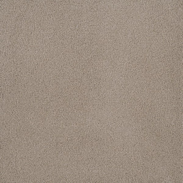 First Class II - Haven - Beige 50 oz. SD Polyester Texture Installed Carpet