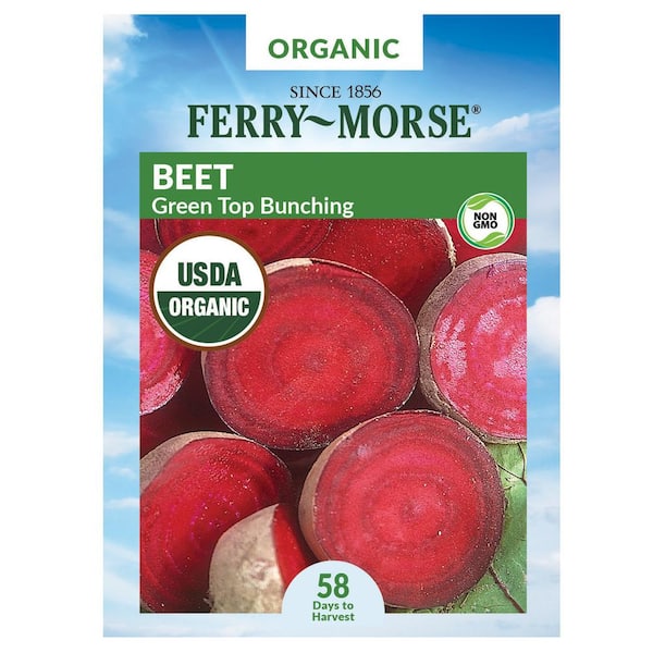 Ferry-Morse Organic Beet Green Top Bunching Vegetable Seed