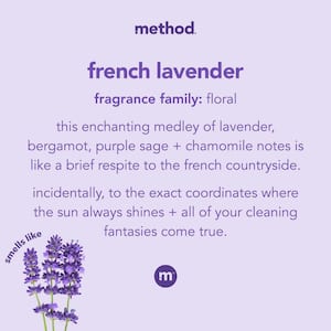 70-Count All-Purpose Cleaner Wipes French Lavender