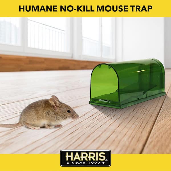 Catch and Release Humane Mouse Trap con dos agujeros de entrada puerta de liberación Plus