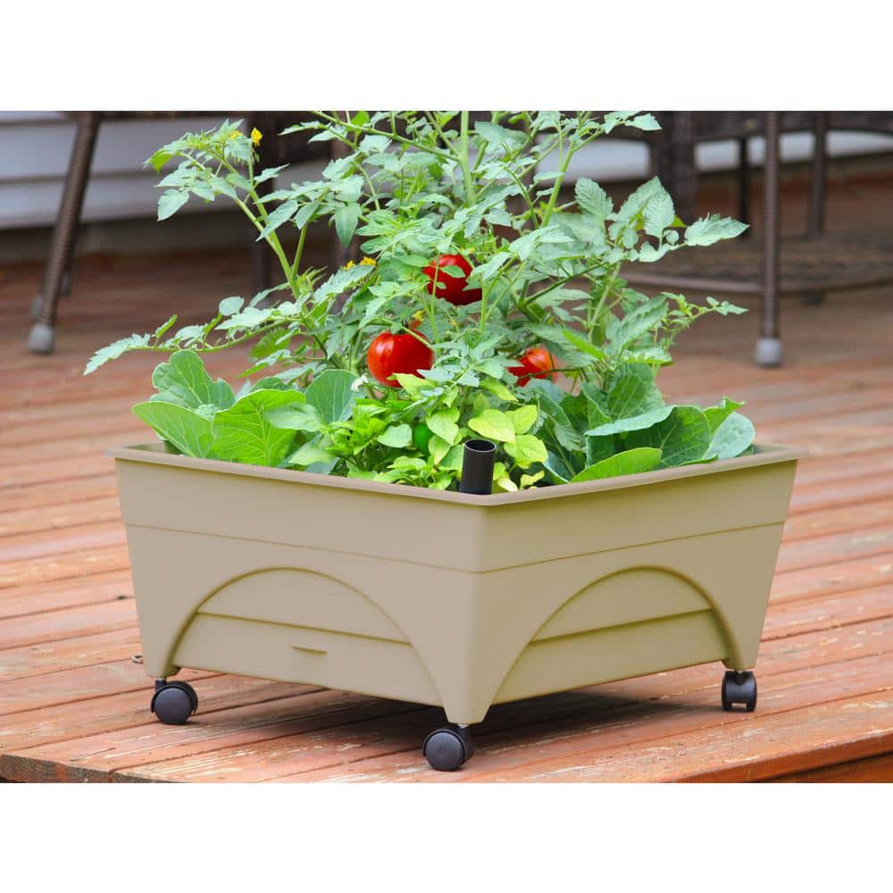 Sand Rectangular Resin Raised Bed Grow Box with Casters