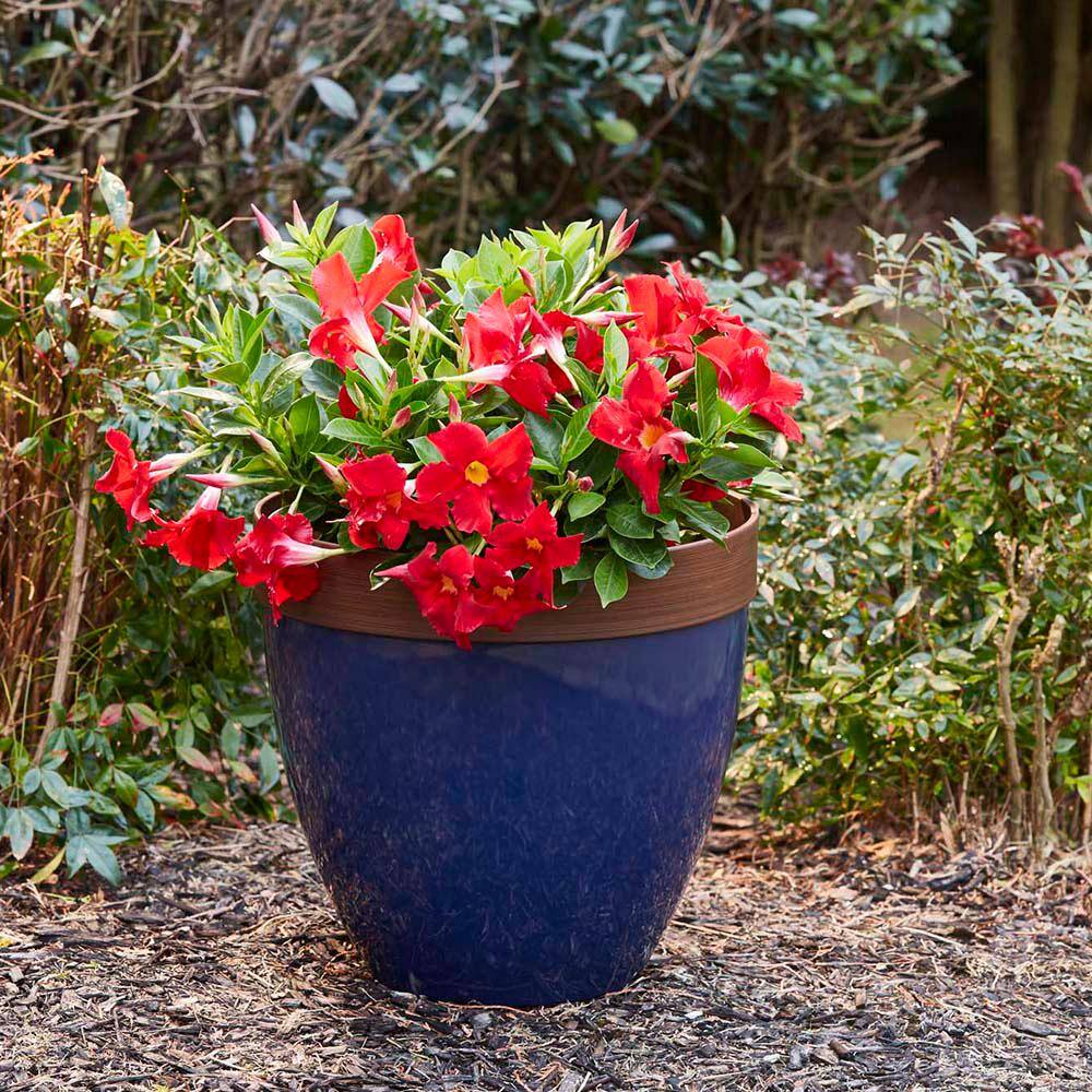 Navy Blue High-Density Resin Outdoor Planter with Drainage Hole