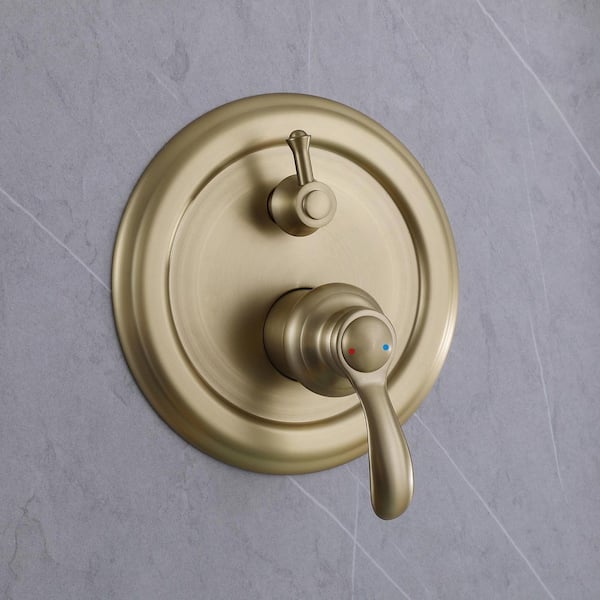 2-Spray 6 in. Dual Handle Wall Mount Shower Head and Handled Shower Head 1.8 GPM in Brushed Gold