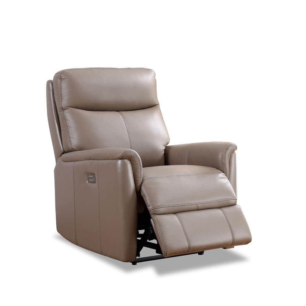 Hydeline Layla Taupe Leather Standard (No Motion) Recliner with ...