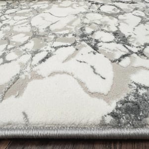 Gray 3 ft. x 5 ft. Livigno 1240 Transitional Marbled Area Rug