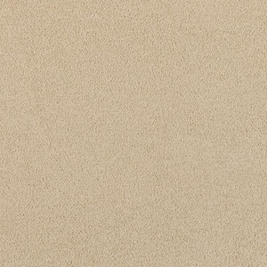 Tailored Trends II Rich Beige 47 oz. Polyester Textured Installed Carpet