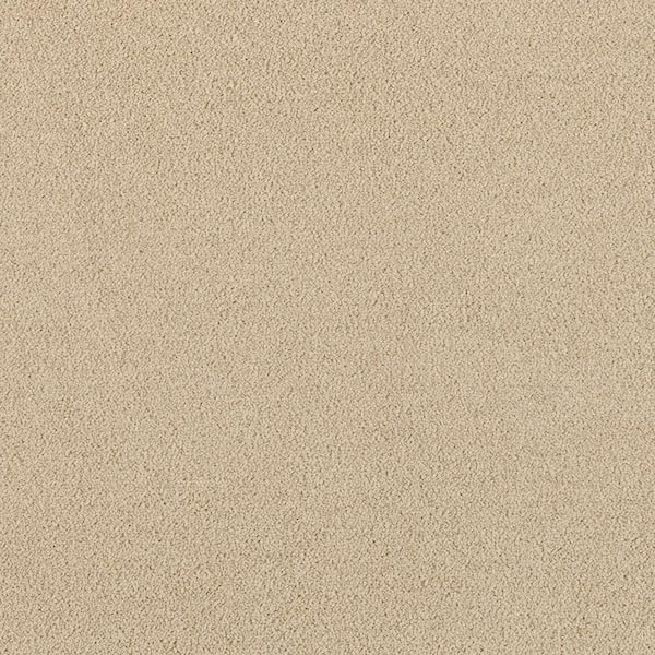 Home Decorators Collection Tailored Trends II Rich Beige 47 oz. Polyester  Textured Installed Carpet 0841D-24-12 - The Home Depot