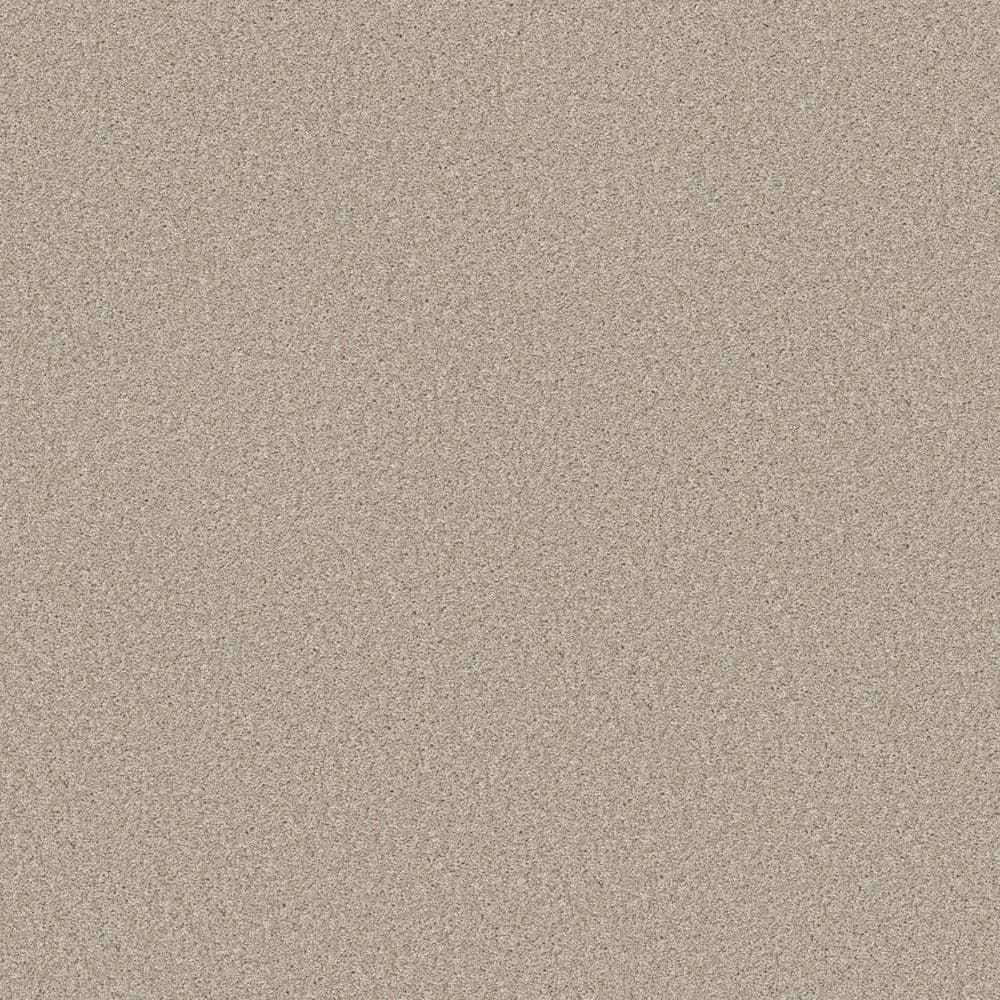 8 in. x 8 in. Texture Carpet Sample - Gifted Moments II - Color Whisper price history on PriceWatchPro