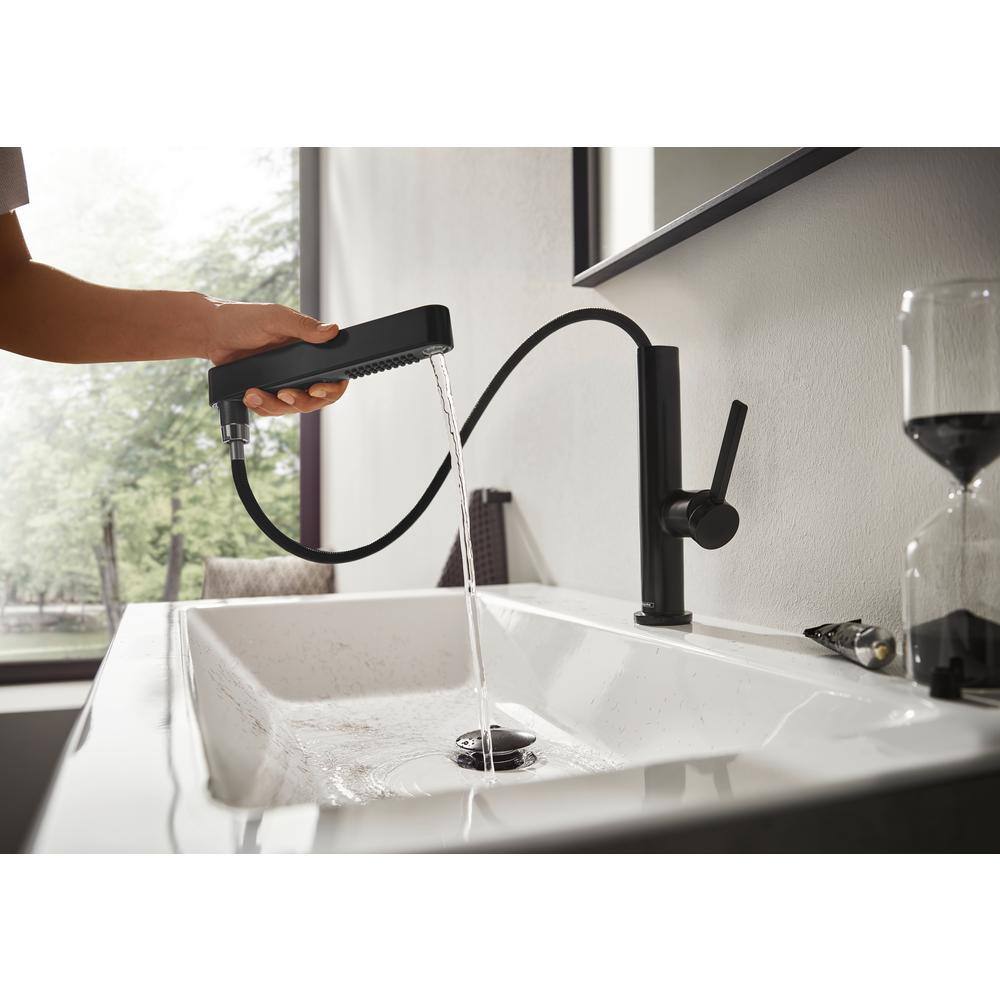 Modern Matte Black Single-Hole Faucet with Pull-Out Spray and Dual Jet Types