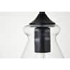 black-and-clear-pendant-lights-lvn4488black-1f.3