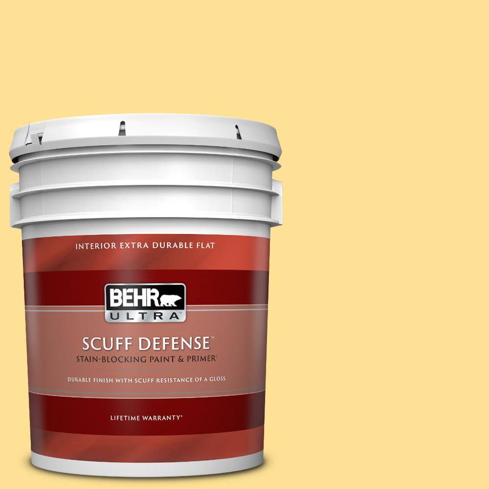 5 gal. #330B-4 Cheerful Hue Extra Durable Flat Interior Paint & Primer