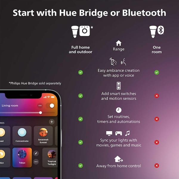 Philips Hue 800276 White and Color Ambiance LightStrip Plus Dimmable LED  Smart Light (Requires Hue Hub, Works with Alexa, HomeKit & Google  Assistant)