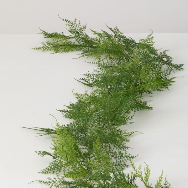 SULLIVANS 72 Artificial Lush Green Plumosa Garland 02685G - The Home Depot