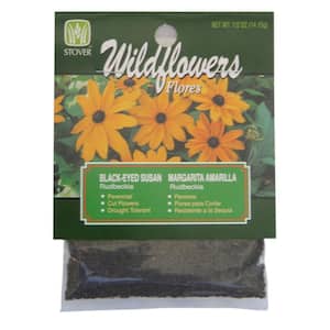 Blanketflower Gaillardia Value Pack