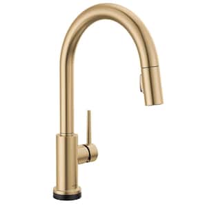 Trinsic Touch2O with Touchless Technology Single Handle Pull Down Sprayer Kitchen Faucet in Champagne Bronze