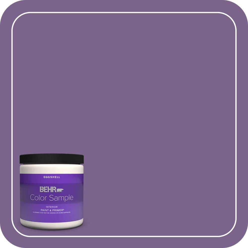 8 oz. #M570-6 Notorious Eggshell Enamel Interior Paint & Primer Color Sample price history on PriceWatchPro