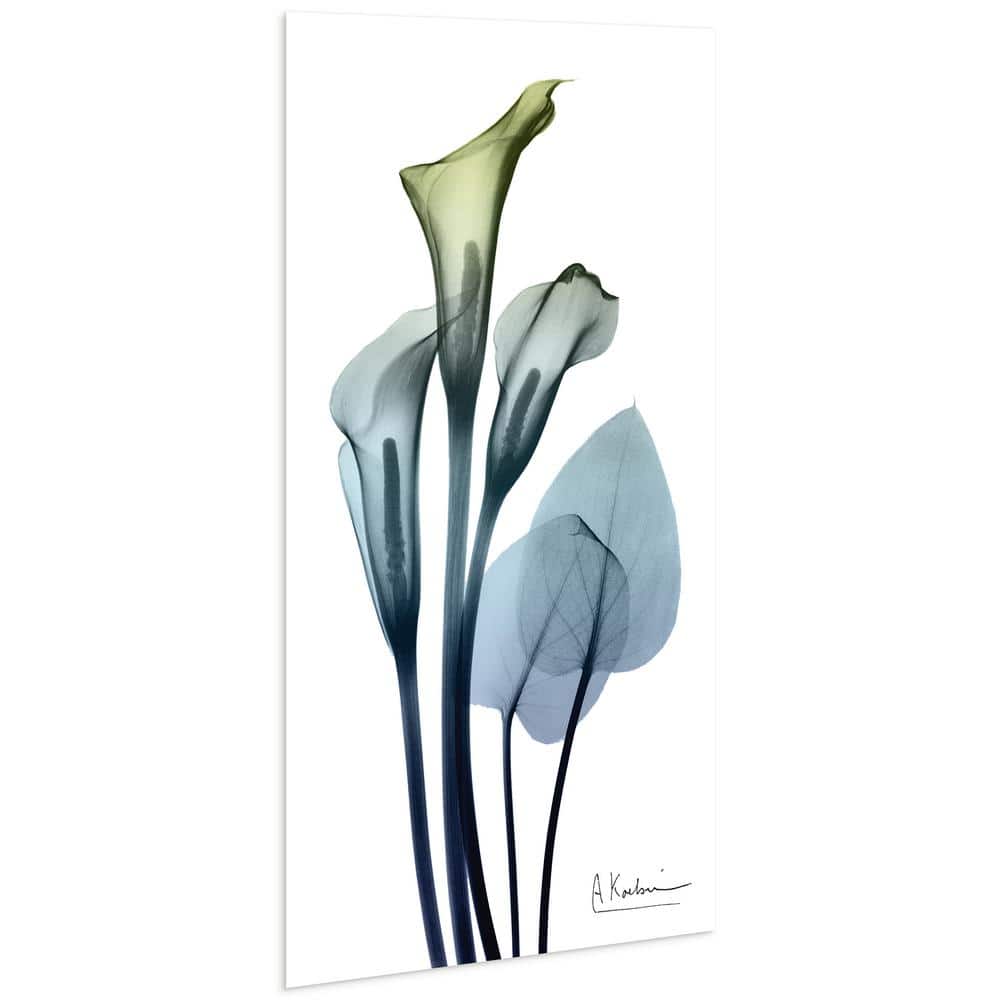 Calia Lily X-Ray Tempered Glass Wall Art, 24" x 48"