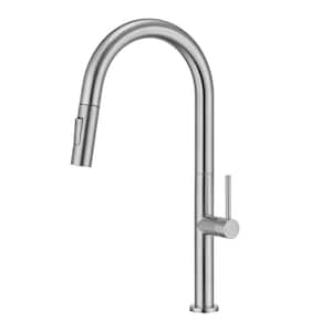 Single Handle Kitchen Faucet with Pull Down Sprayer with Deckplate in Brushed Nickel