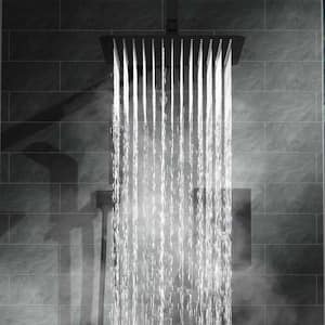 2-Spray Patterns with 2.0 GPM 12 in. Rain Shower Head Ceiling Mount Dual Shower Heads in Matte Black