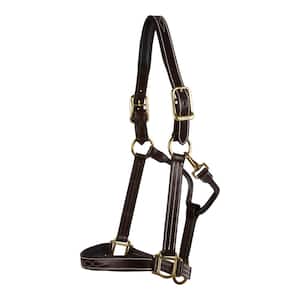 Sedgwick Fancy Stitched Padded Leather Halter