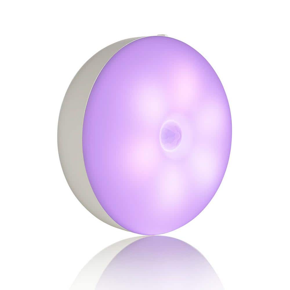 BlissLights BlissEmber Multi-Color Changing Integrated LED, WI-FI, Plug ...