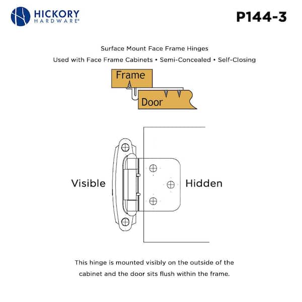 Polished Brass Surface Self-Closing Hinge (2-Pack) Polished Brass Surface Self-Closing Hinge (2-Pack)