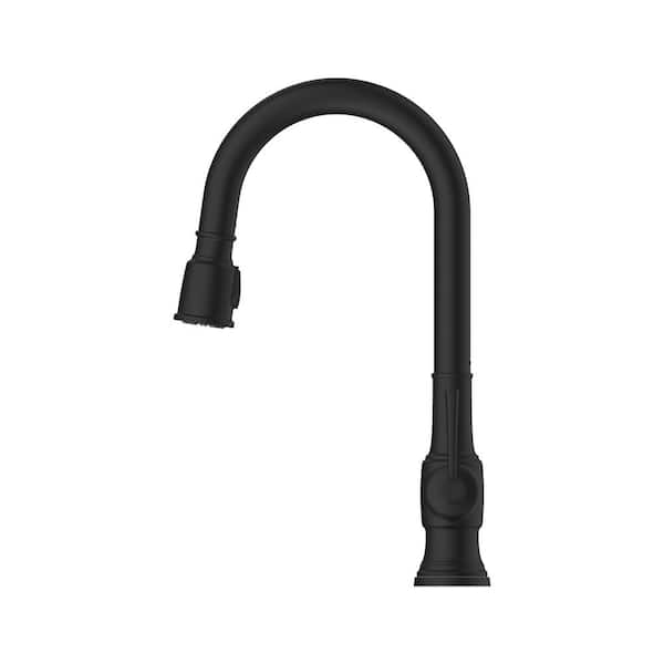 Hoyt Single Handle Pull-Down Sprayer Kitchen Faucet in Matte Black