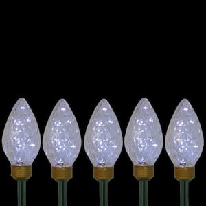 Lighted LED Jumbo C9 Bulb Christmas Pathway Marker Lawn Stakes in Clear Lights (Set of 5)