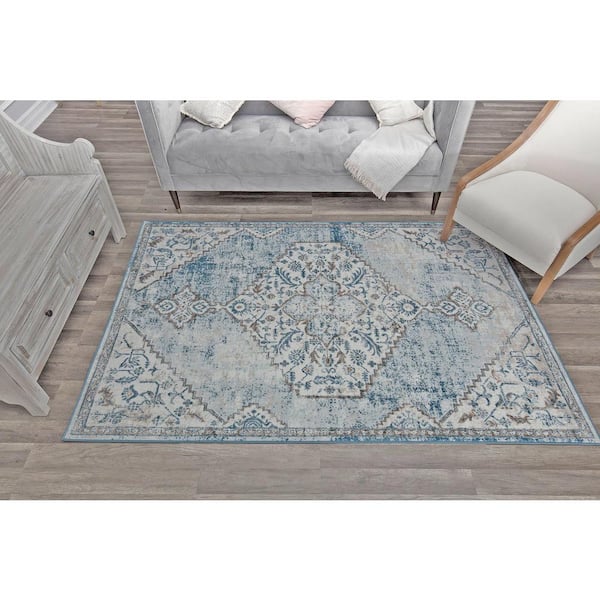 Freya Powder Blue 2'6"x8' Farmhouse Area Rug
