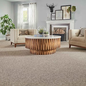 Maisie II  - Bermuda Sand - Beige 52 oz. Triexta Texture Installed Carpet