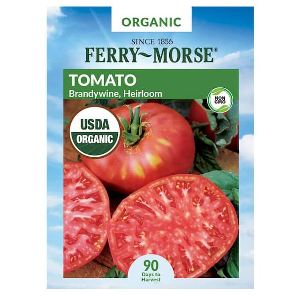 Organic Tomato Brandywine Fruit Seed