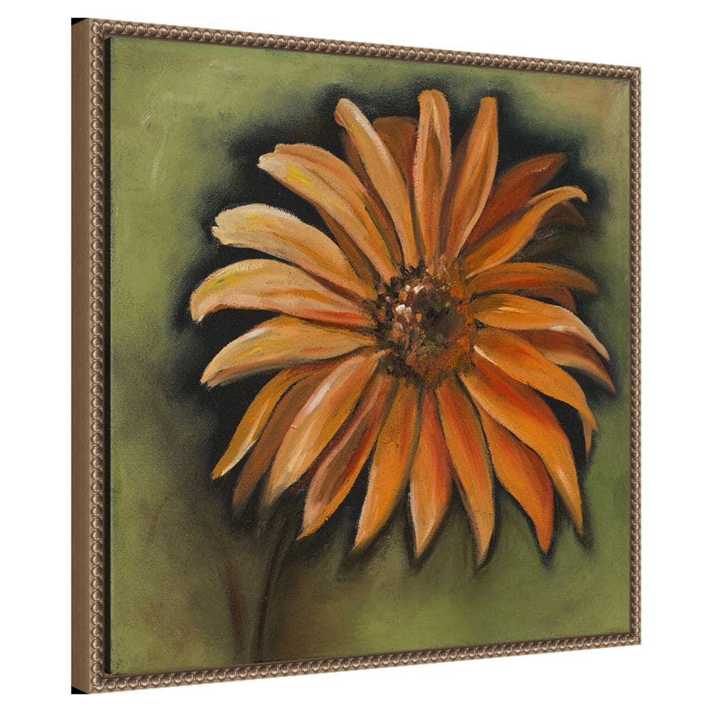 Daisy Collections III Bronze Framed Canvas Wall Art