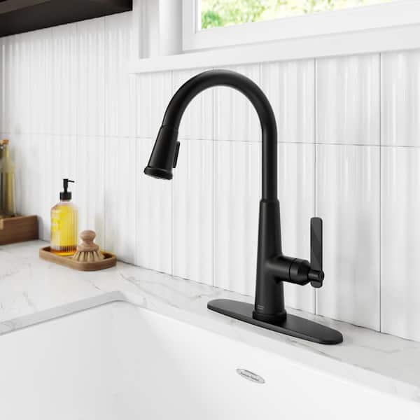 Eastcourt Single Handle Pull Down Sprayer Kitchen Faucet with Dual Spray in Matte Black