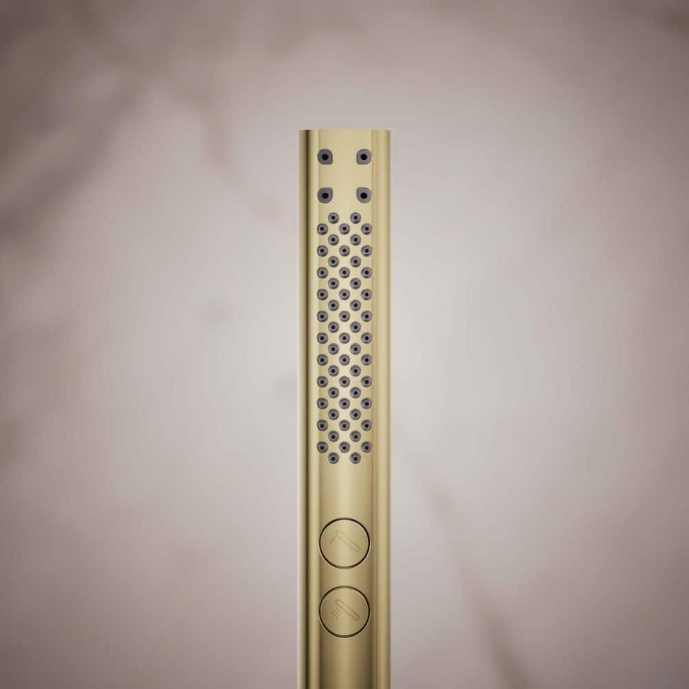Vibrant French Gold Two-Function Handheld Shower Head