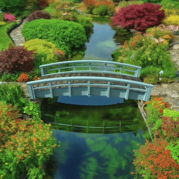 廃盤　OGAWA Liberty Forest Dome 5 廃盤 OGAWA Liberty Forest Dome 5