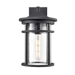 Namath 1 Light 9 in. Textured Black Outdoor Clear Seeded