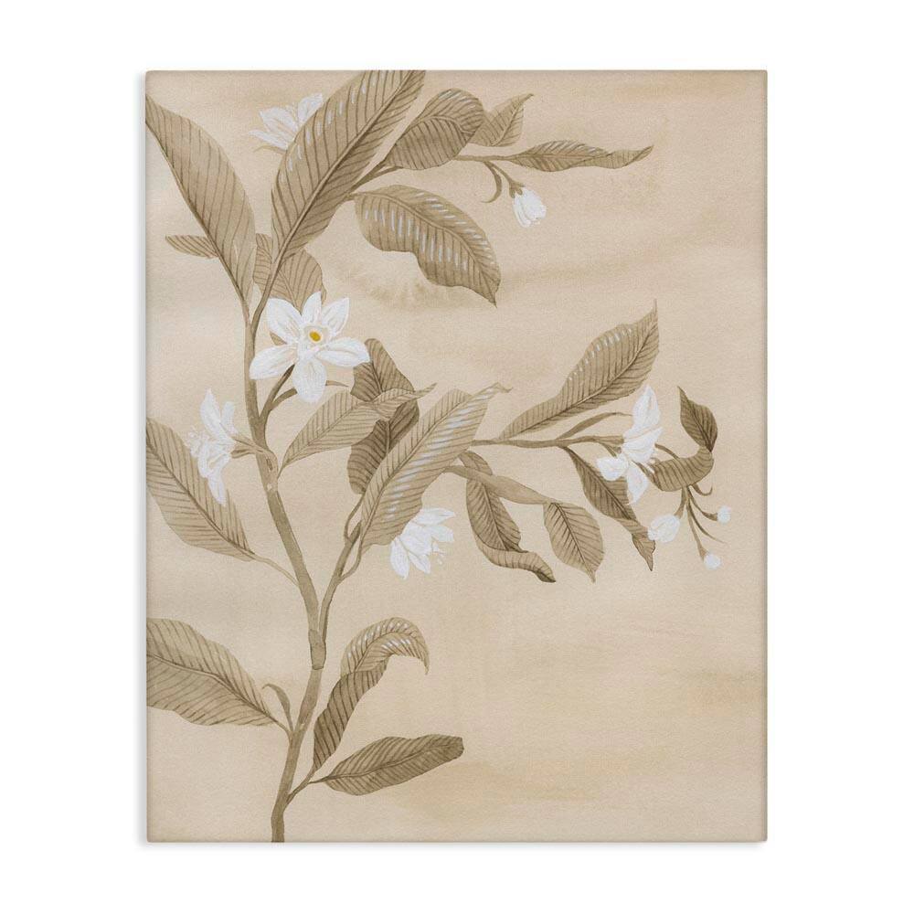 Traditional White Daffodils by Grace Popp Unframed Nature Graphic Art Print 40 in. x 30 in. price history on PriceWatchPro