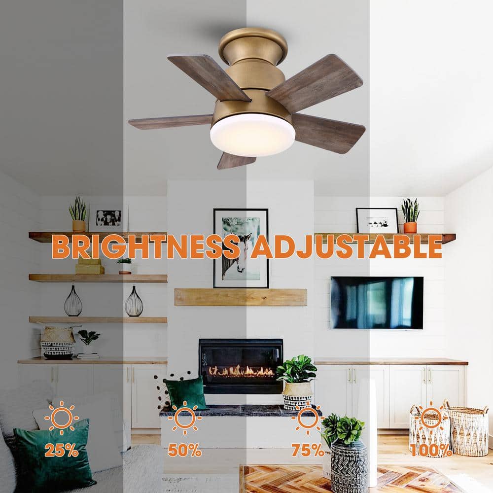24" Brass Gold LED Flush Mount Ceiling Fan with Remote and Reversible Blades