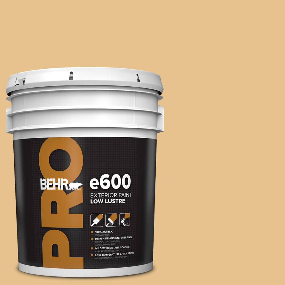 5 gal. #T17-02 Gold Hearted Low Luster Exterior Paint price history on PriceWatchPro