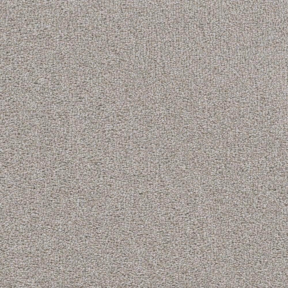 Home Decorators Collection 8 in. x 8 in. Texture Carpet Sample