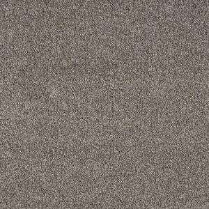 Northern Hills I Elevation Grey 39 oz. Blend Texture Installed Carpet