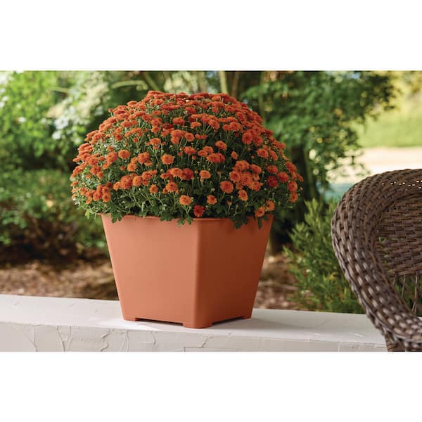 15 in. Antonella Clay Plastic Square Window/Deck Planter Box (15 in. L x 15 in. W x  11 in. H) with Drainage Hole