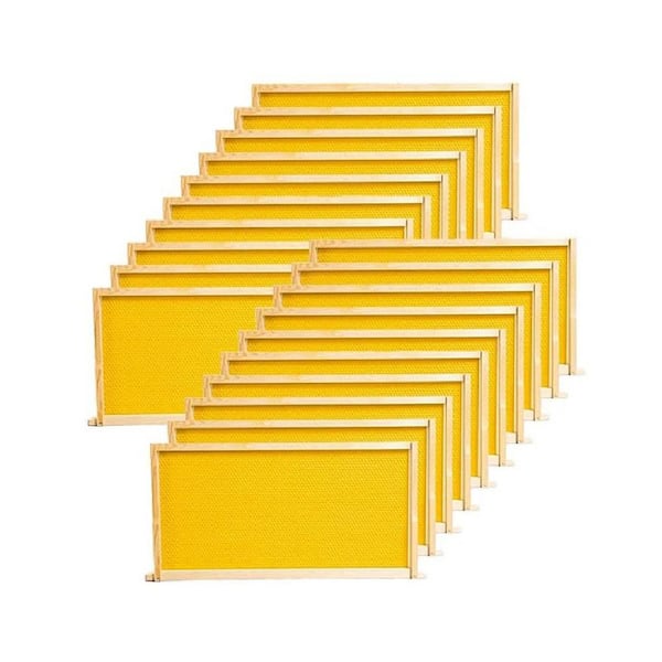 KIWDZFU Bee Hive Frame with Waxed Foundation Sheet Unassembled Beehive Frames 20-Pack