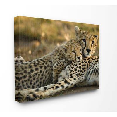 36 in. x 48 in. "Cheetah Family Mother with Cub" by Joe McDonald / DanitaDelimont.com Canvas Wall Art