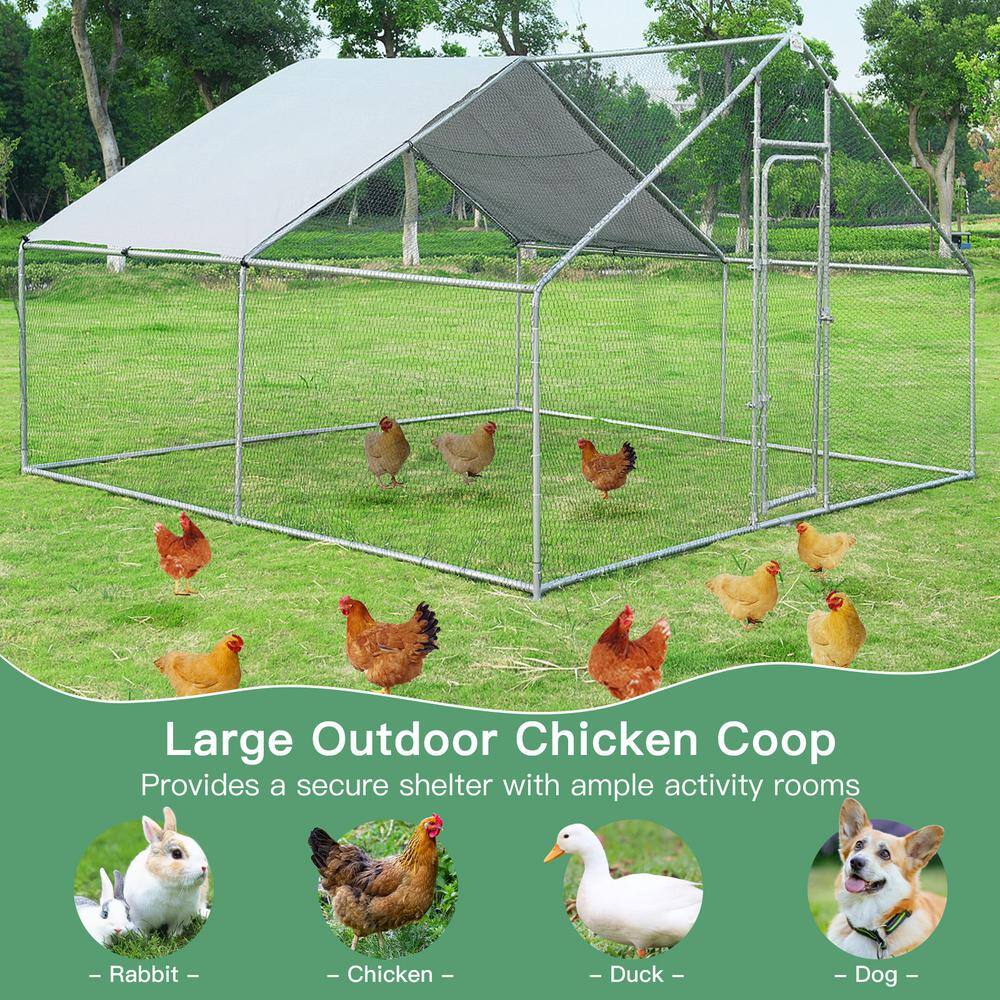 13' x 13' White Galvanized Steel Outdoor Chicken Playpen