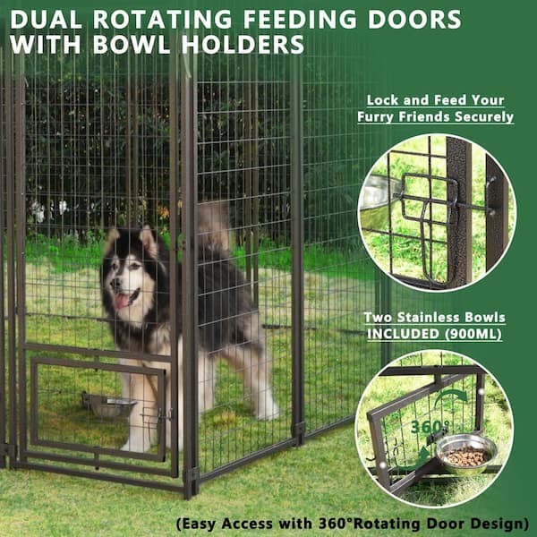 6 ft. x 10 ft. x 10 ft. Gold Series Complete Chain Link Dog Kennel at  Tractor Supply Co.